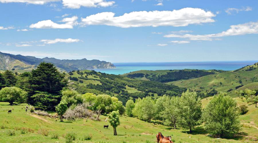 Top car rental options in Tokomaru Bay